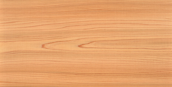 �㶫��ʵľ�Ƶ�Ҿߺ�ʵľ�Ƶ�Ҿ߶Աȷ���