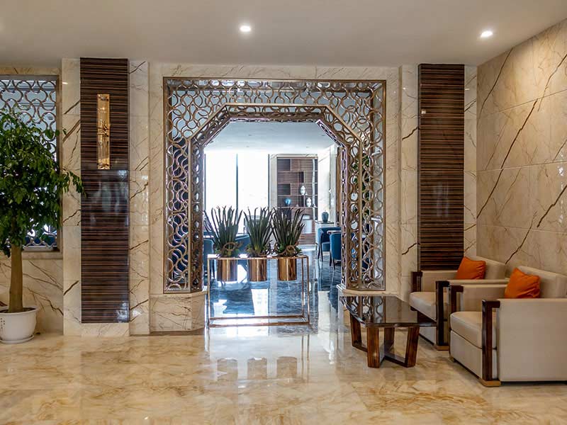 �Ƶ�Ҿ�ѡ��������13������֪ʶ