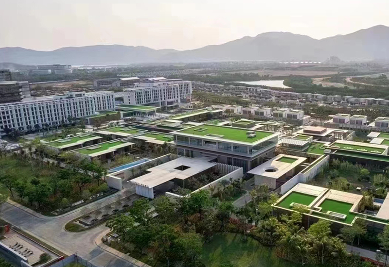 ę́��Ʒ�Ƶ�