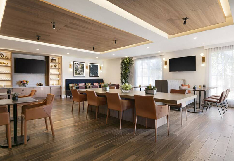 �����Ч�����Ƶ�Ҿ�